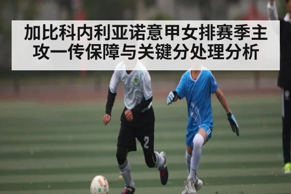 加比科内利亚诺意甲女排赛季主攻一传保障与关键分处理分析